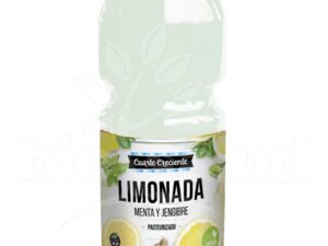 JUGO LIMONADA MENTA Y JENGIBRE X1,5LTS (X 1)