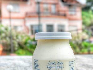 YOGURT C/PULPA DE FRUTA X250GR