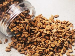 GARRAPI?ADA DE GIRASOL