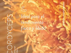 HONGO CORDYCEPS EXTRACTO X 55CC