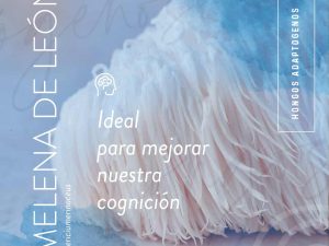 HONGO MELENA DE LEON X 60 CAPS