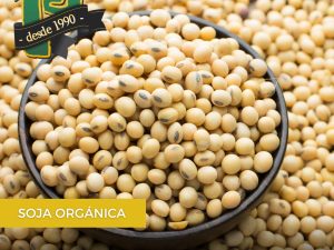 POROTO DE SOJA AGROECOLOGICO X500GR