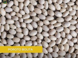 POROTO BOLITA 500GR