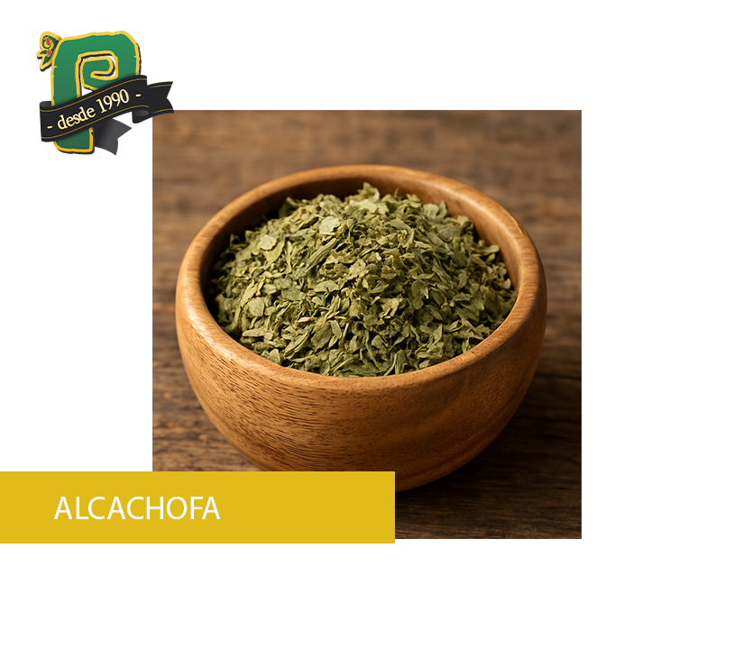 ALCACHOFA