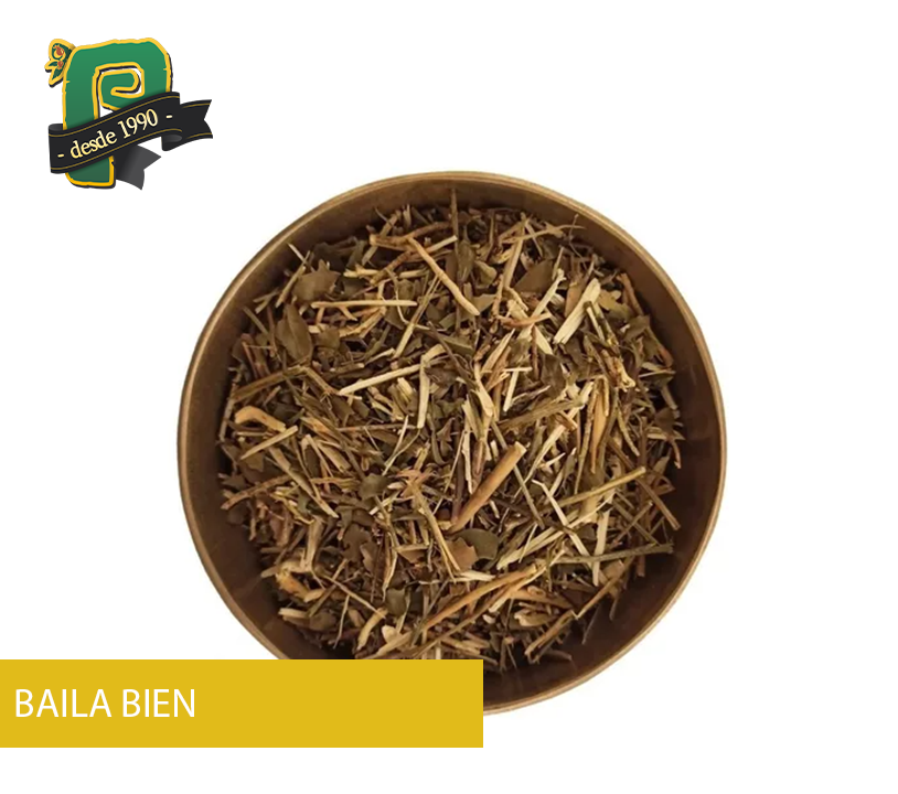 BAILA BIEN-456