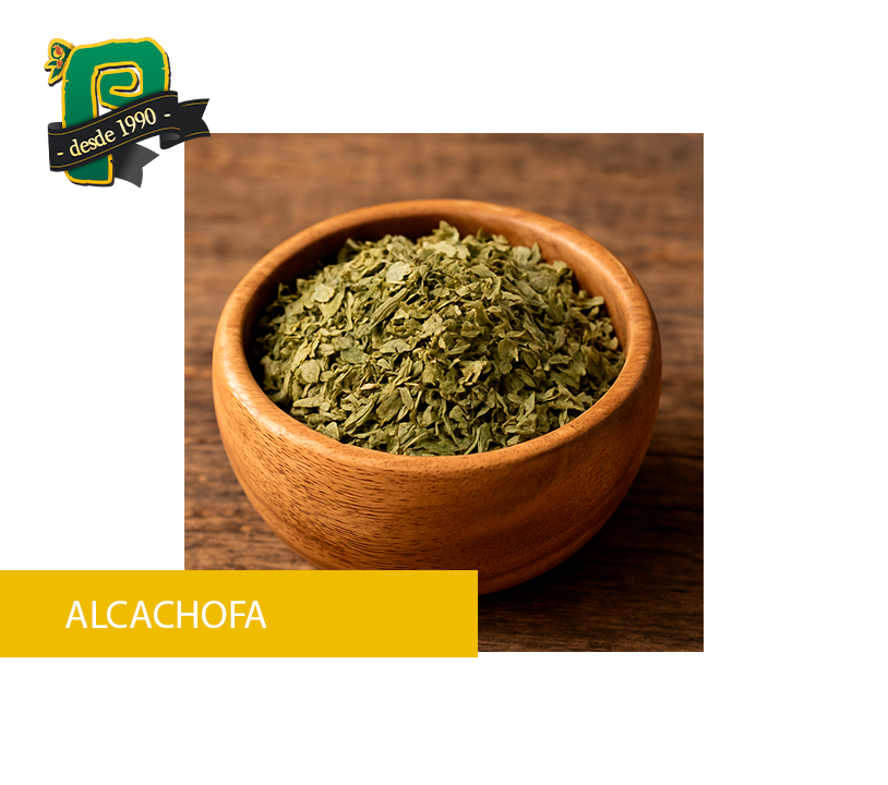 ALCACHOFA 40GR