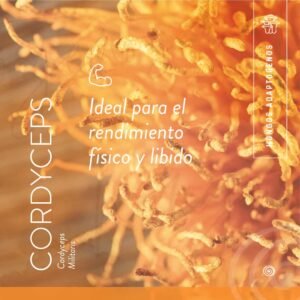 HONGO CORDYCEPS X 30GR
