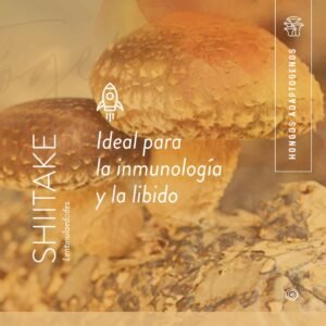 HONGO SHITAKE MOLIDO X30GR