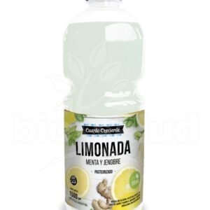 JUGO LIMONADA MENTA Y JENGIBRE X1,5LTS (X 1)