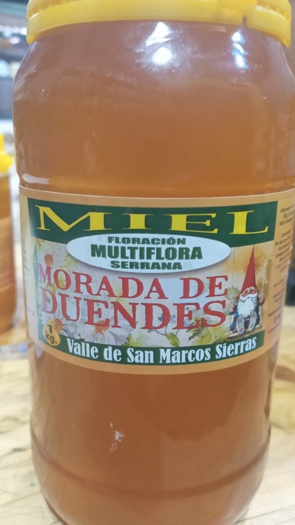 MIEL PURA MULTIFLORAL X250CC