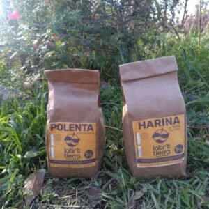 HARINA DE SOJA AGROECOLOGICA X 500G