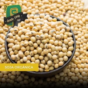 POROTO DE SOJA AGROECOLOGICO X500GR