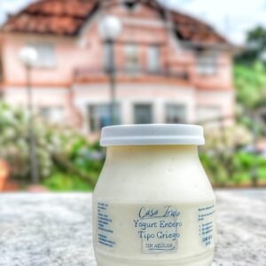 YOGURT C/PULPA DE FRUTA X250GR